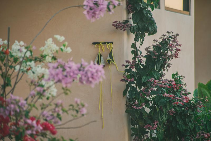 Flowers spilling over a sun-washed wall
