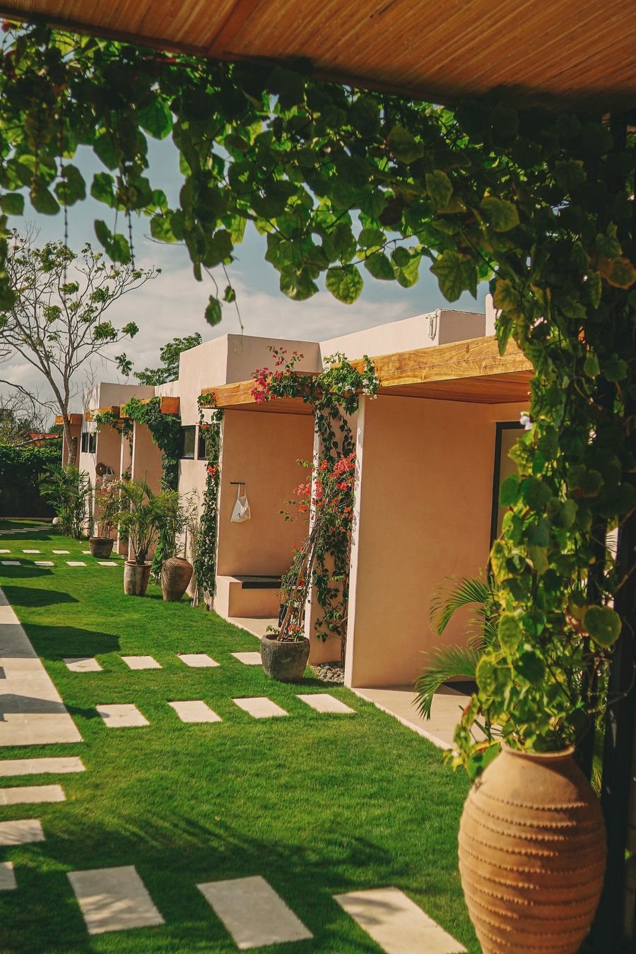 A garden path between bougainvillea-covered studios